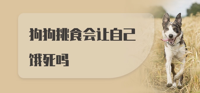 狗狗挑食会让自己饿死吗