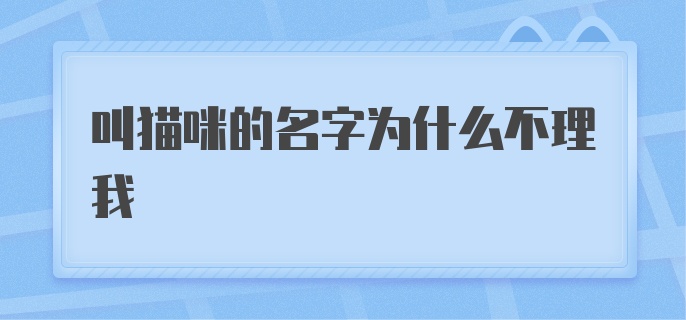 叫猫咪的名字为什么不理我