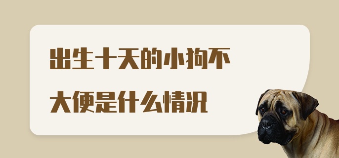 出生十天的小狗不大便是什么情况