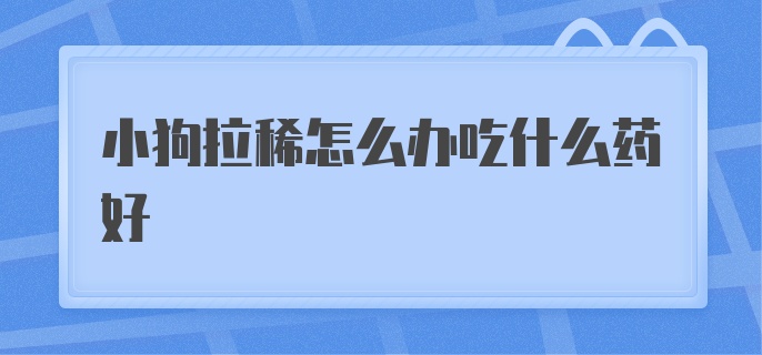 小狗拉稀怎么办吃什么药好