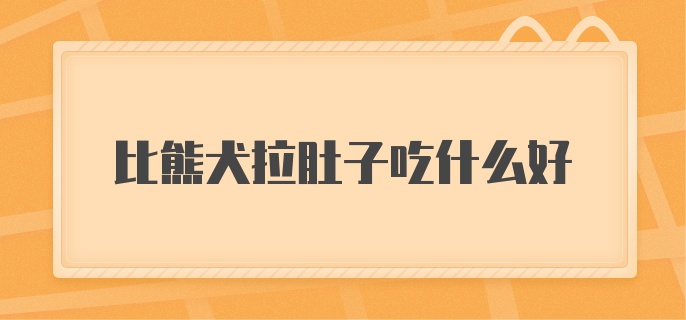 比熊犬拉肚子吃什么好