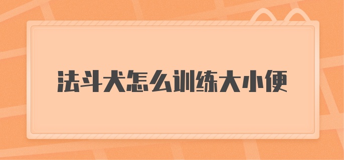 法斗犬怎么训练大小便