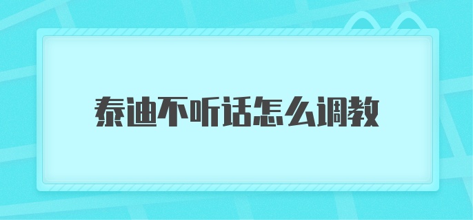 泰迪不听话怎么调教