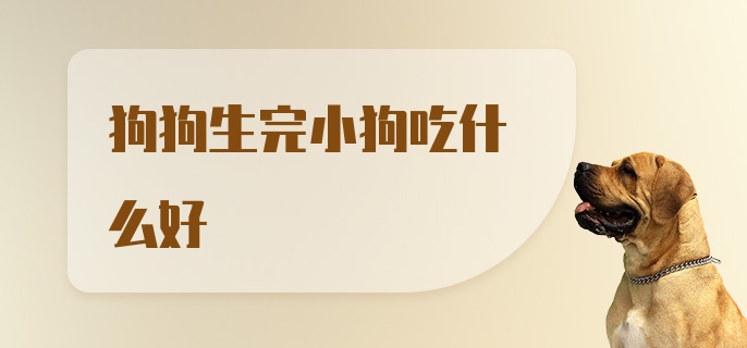 狗狗生完小狗吃什么好