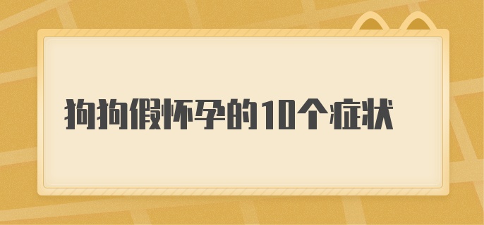 狗狗假怀孕的10个症状