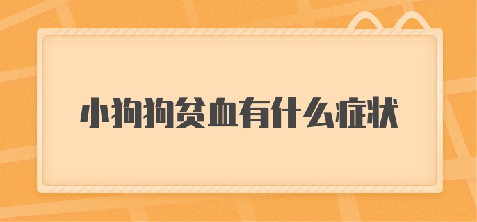 小狗狗贫血有什么症状