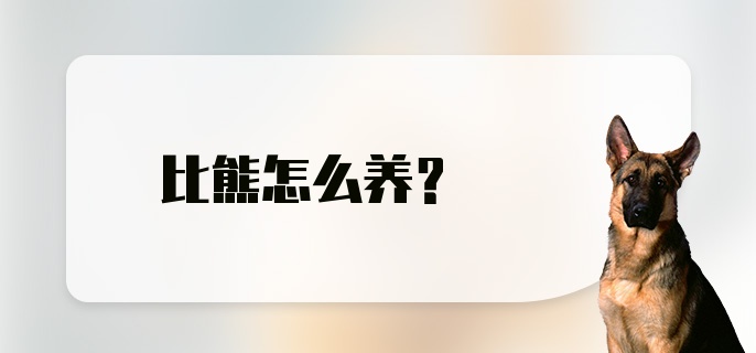 比熊怎么养？