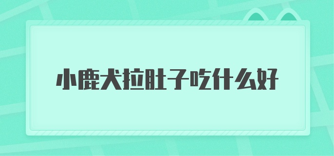 小鹿犬拉肚子吃什么好