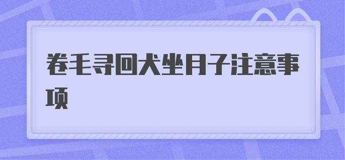 卷毛寻回犬坐月子注意事项