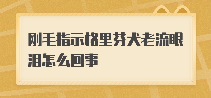 刚毛指示格里芬犬老流眼泪怎么回事