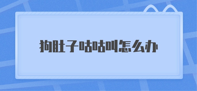 狗肚子咕咕叫怎么办