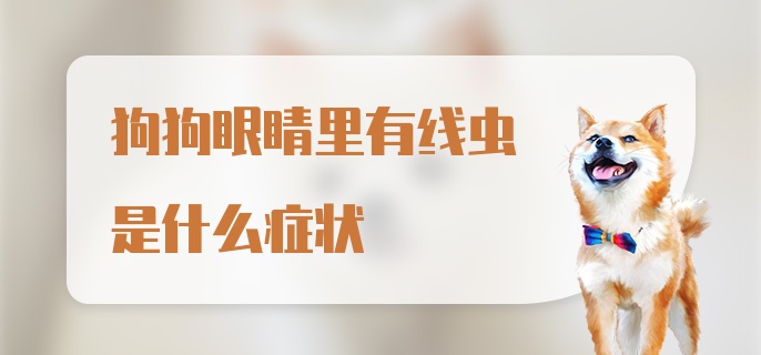 狗狗眼睛里有线虫是什么症状