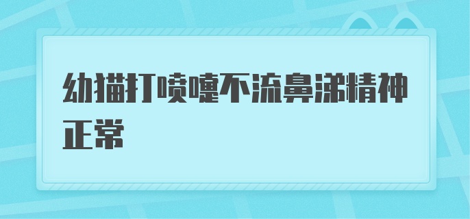 幼猫打喷嚏不流鼻涕精神正常