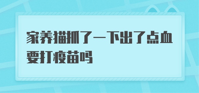 家养猫抓了一下出了点血要打疫苗吗