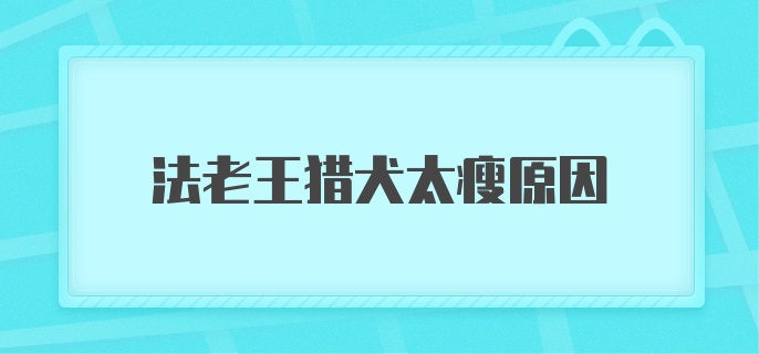 法老王猎犬太瘦原因