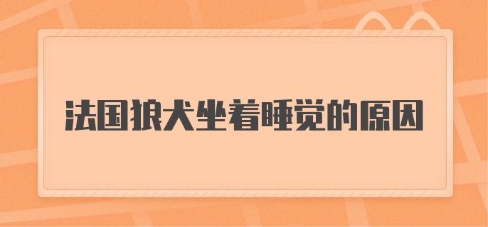 法国狼犬坐着睡觉的原因