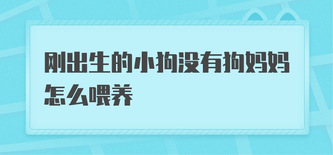 刚出生的小狗没有狗妈妈怎么喂养