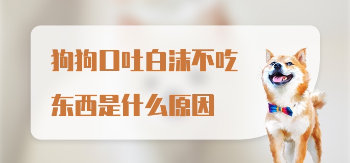 狗狗口吐白沫不吃东西是什么原因