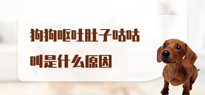 狗狗呕吐肚子咕咕叫是什么原因