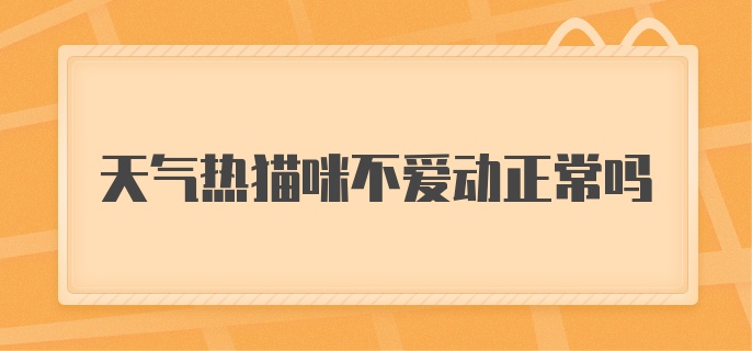 天气热猫咪不爱动正常吗