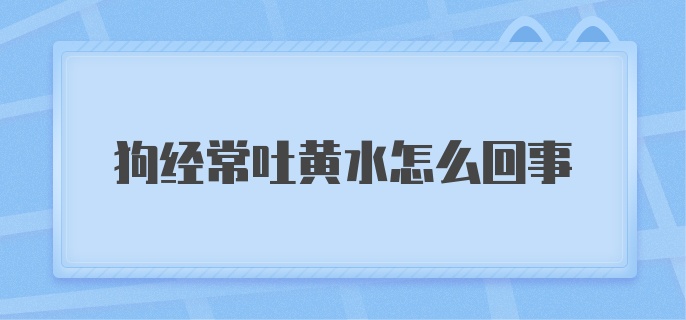 狗经常吐黄水怎么回事