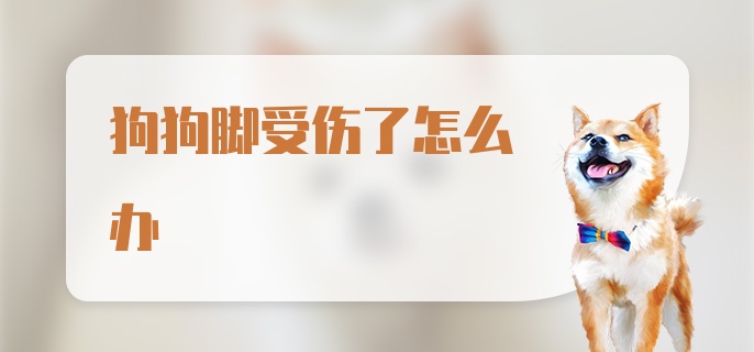 狗狗脚受伤了怎么办