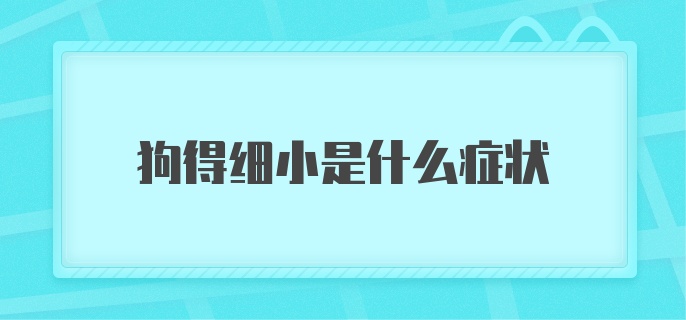 狗得细小是什么症状