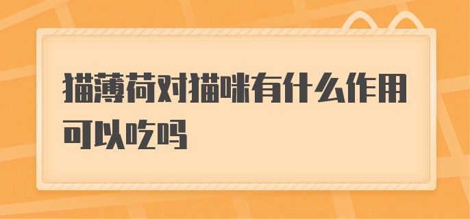 猫薄荷对猫咪有什么作用可以吃吗