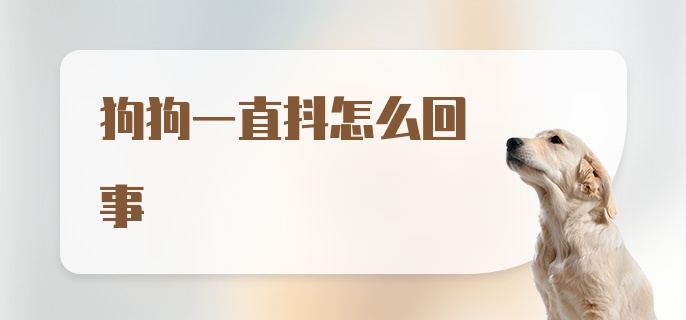 狗狗一直抖怎么回事