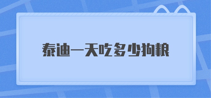 泰迪一天吃多少狗粮