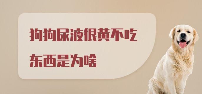 狗狗尿液很黄不吃东西是为啥