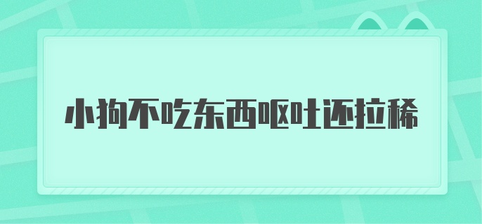 小狗不吃东西呕吐还拉稀