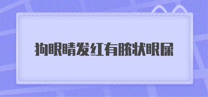 狗眼睛发红有脓状眼屎