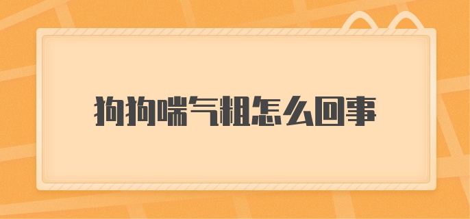 狗狗喘气粗怎么回事