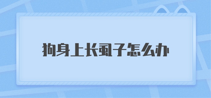 狗身上长虱子怎么办