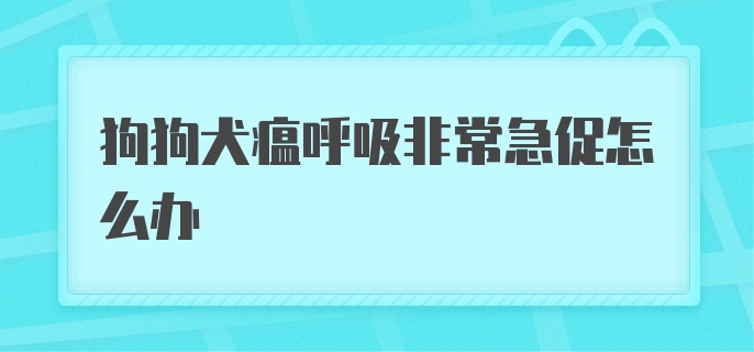 狗狗犬瘟呼吸非常急促怎么办