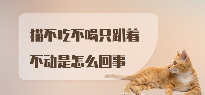 猫不吃不喝只趴着不动是怎么回事