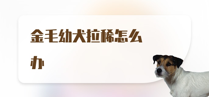 金毛幼犬拉稀怎么办