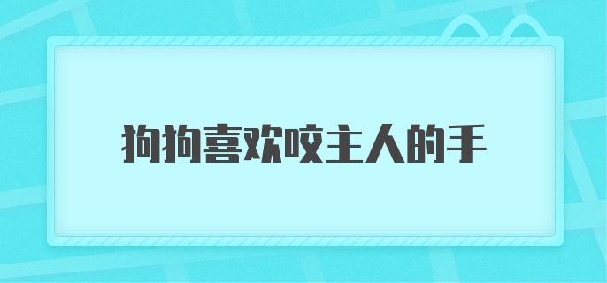 狗狗喜欢咬主人的手