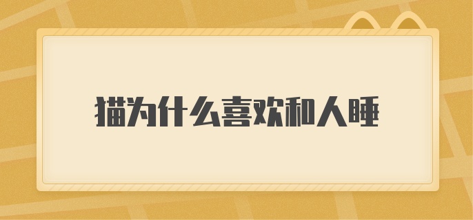 猫为什么喜欢和人睡