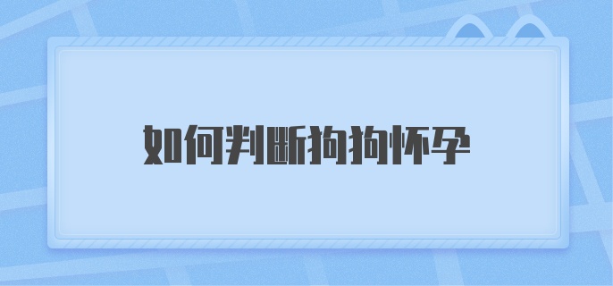 如何判断狗狗怀孕