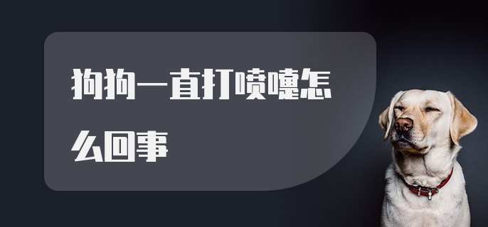 狗狗一直打喷嚏怎么回事