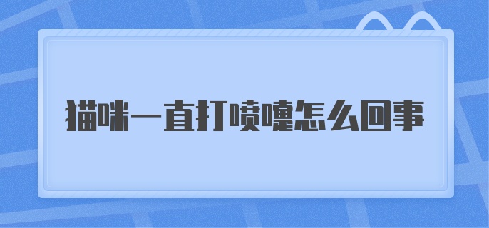 猫一直打喷嚏是怎么回事