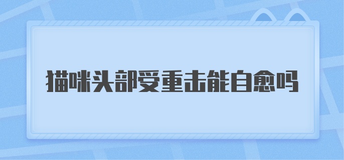 猫咪头部受重击能自愈吗