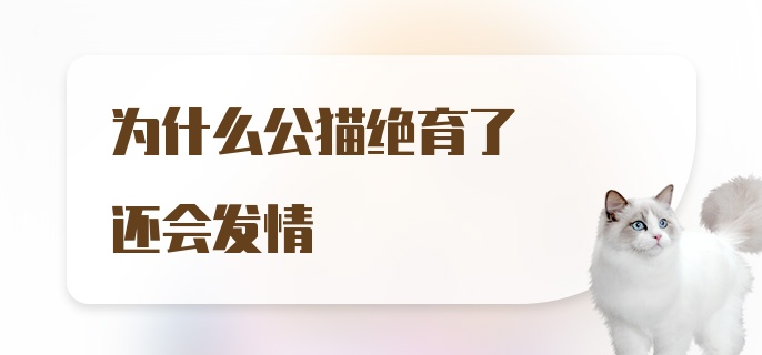 为什么公猫绝育了还会发情