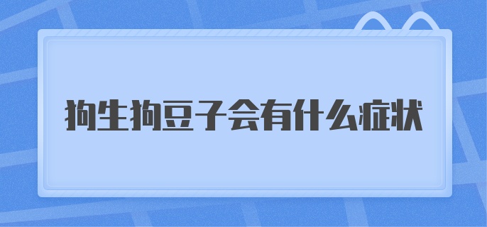 狗生狗豆子会有什么症状