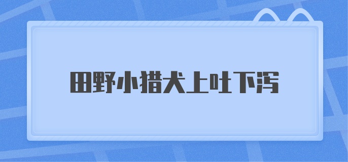 田野小猎犬上吐下泻