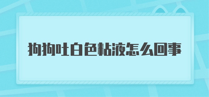 狗狗吐白色粘液怎么回事