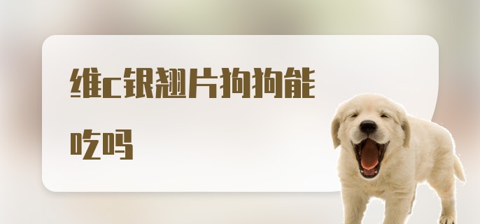 维c银翘片狗狗能吃吗