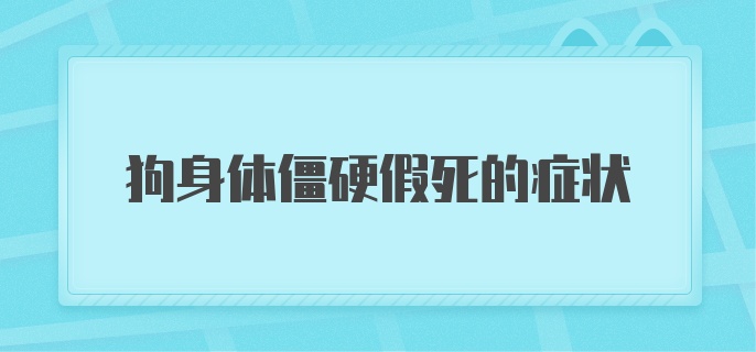 狗身体僵硬假死的症状